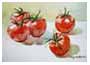 watercolor painting tomatoes