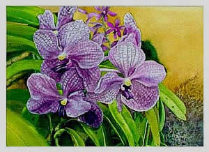 watercolor painting orchid