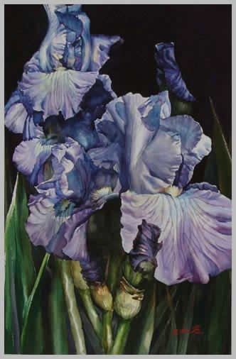 Iris Watercolor Paintings
